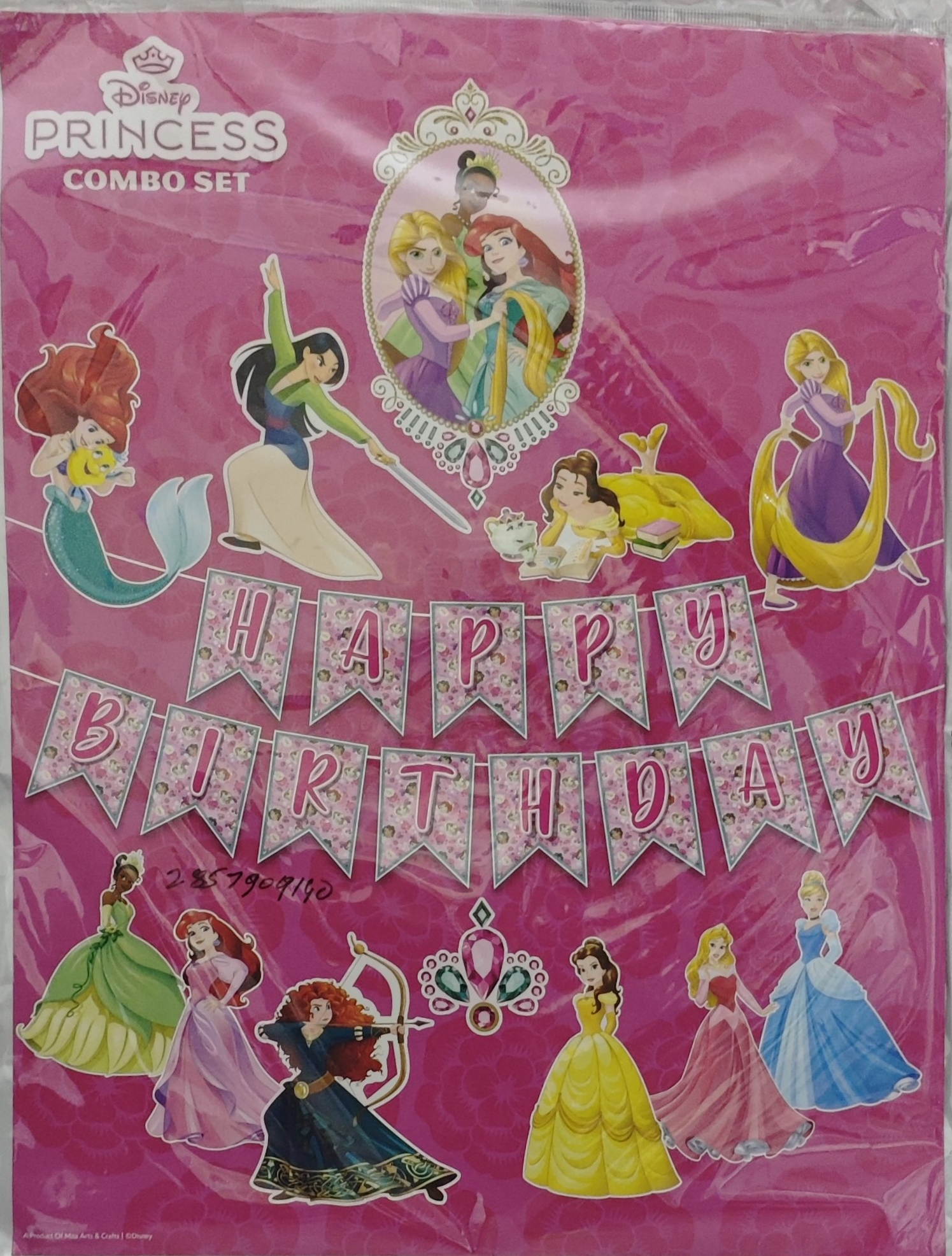 Birthday Celebration Decoration Pack Disney Princess Theme for Kids