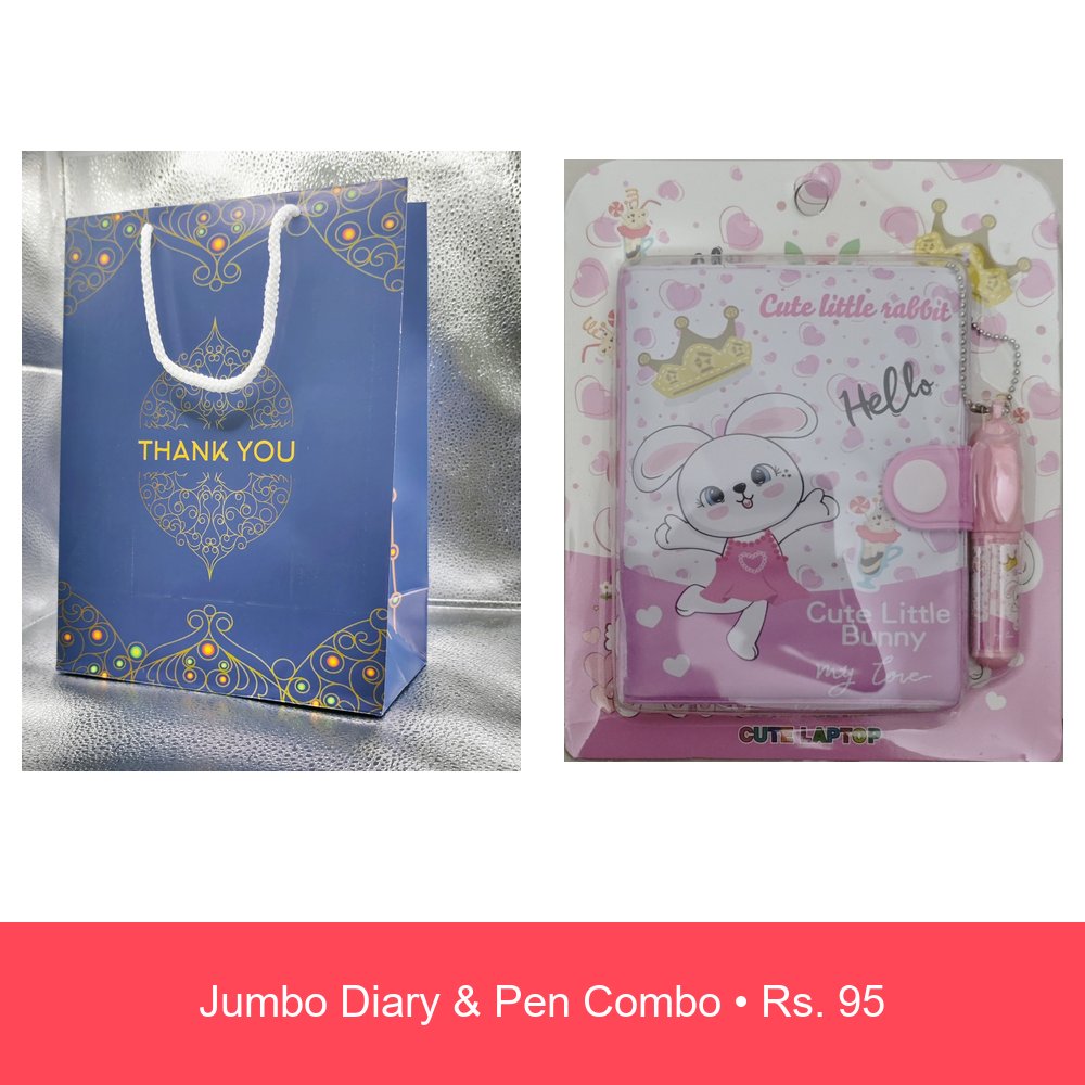 Jumbo Diary & Pen Combo