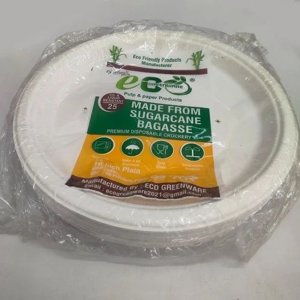 Disposable Sugarcane Bagasse Plate (9") (Pack Of 25)