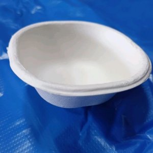 Disposable Sugarcane Bowl (200ml) (Pack Of 50)